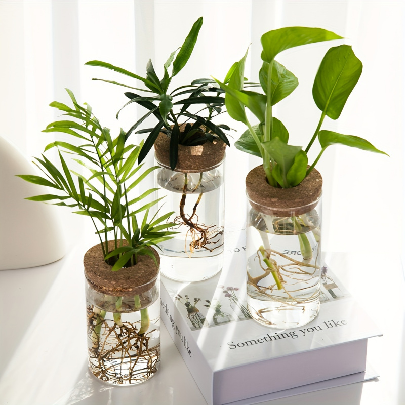 家の装飾のための水耕植物の花瓶、デスクトップガラスプランター - Propagation Station Vase のレビューと価格