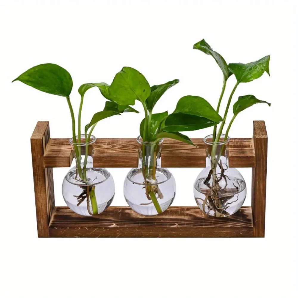 卓上ガラスプランター繁殖ステーション水耕植物花瓶木製トレイ付 - Propagation Station Vase のレビューと価格