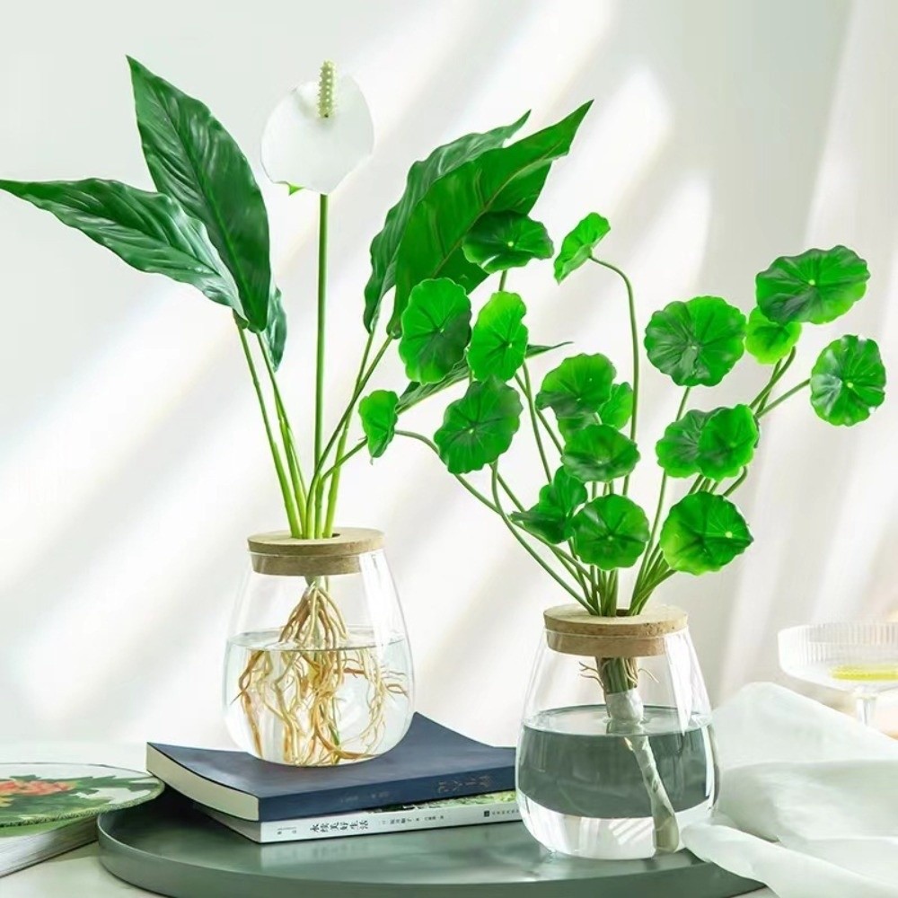 透明な水耕栽培用植木鉢、木製トレイ付きガラス製植物繁殖ステー - Propagation Station Vase のレビューと価格
