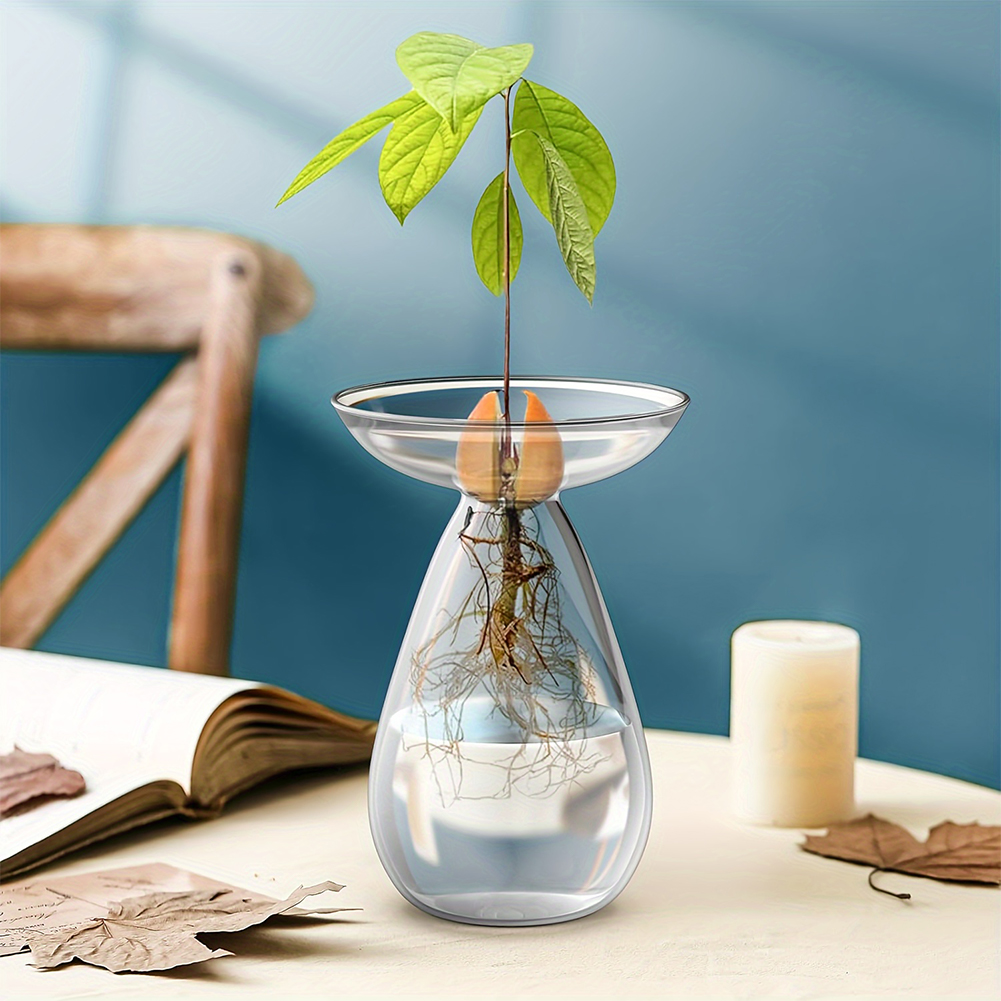 アボカド種子スターター水耕栽培花瓶透明植物繁殖ステーションガ - Propagation Station Vase のレビューと価格